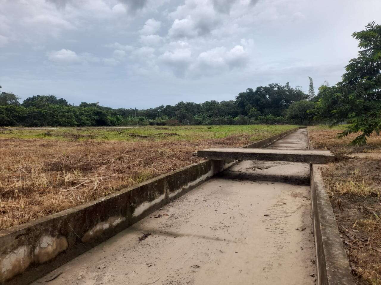 Mantenimiento de Canales